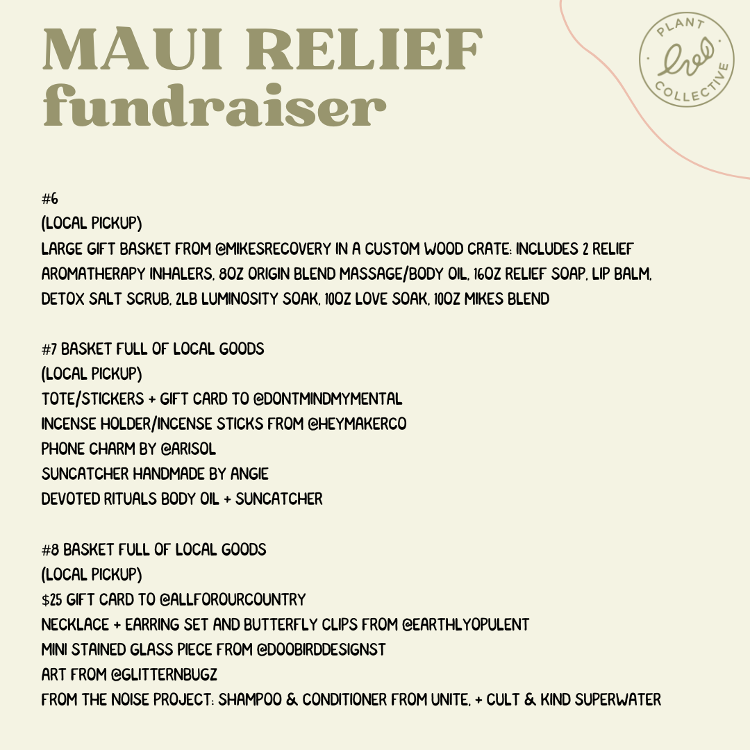 Maui Relief Raffle
