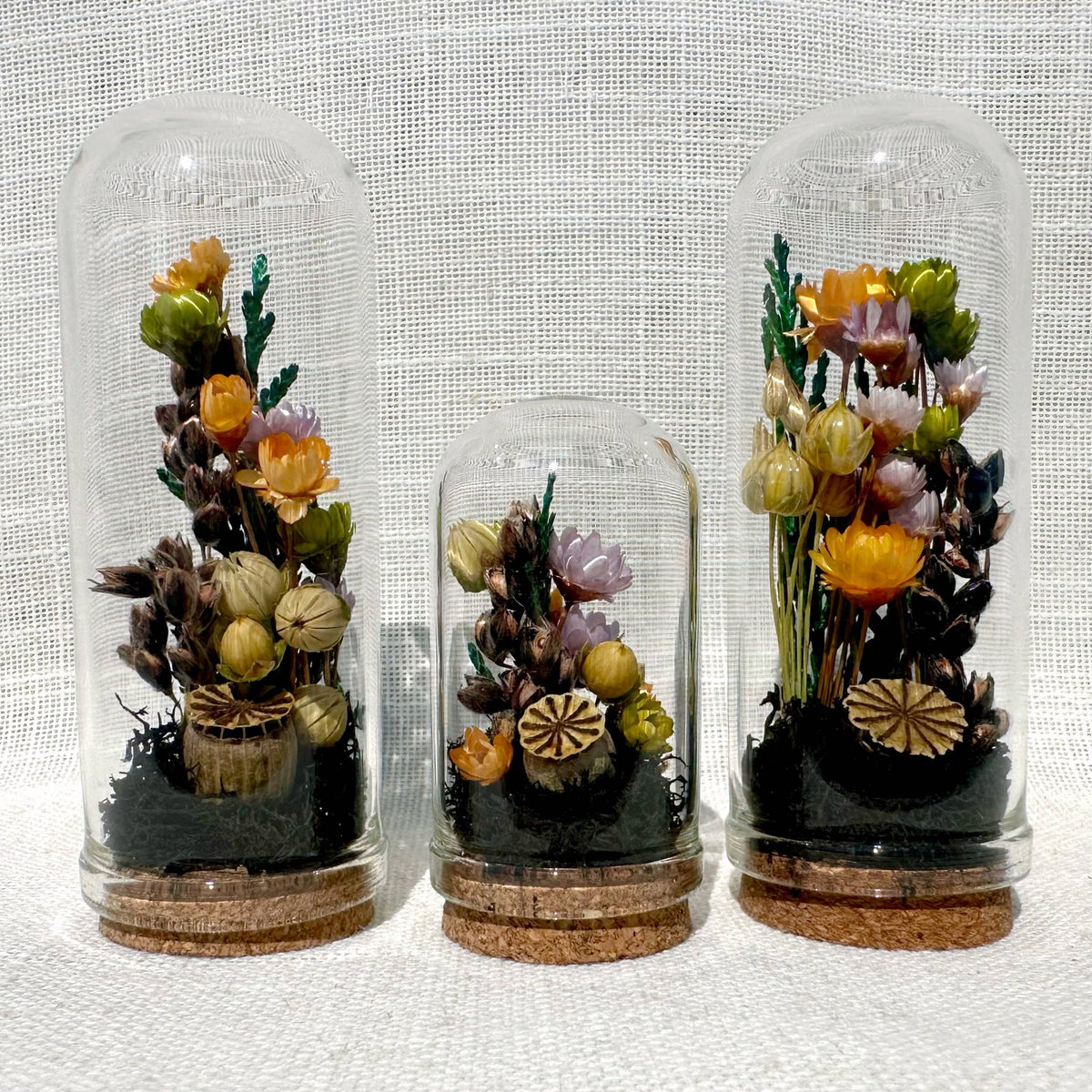 Hexed Hollow Mini Terrarium Halloween Dried Floral Cloche