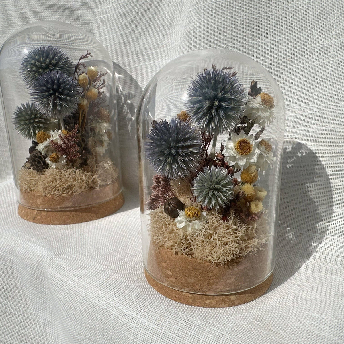 Large Botanical Terrarium Cloche w. Blue Dried Flowers