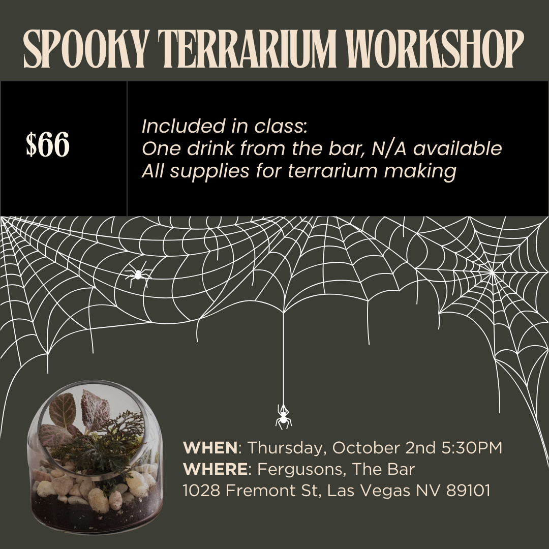 Spooky Terrarium 10/2