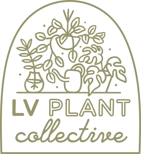 LV PLANT COLLECTIVE
