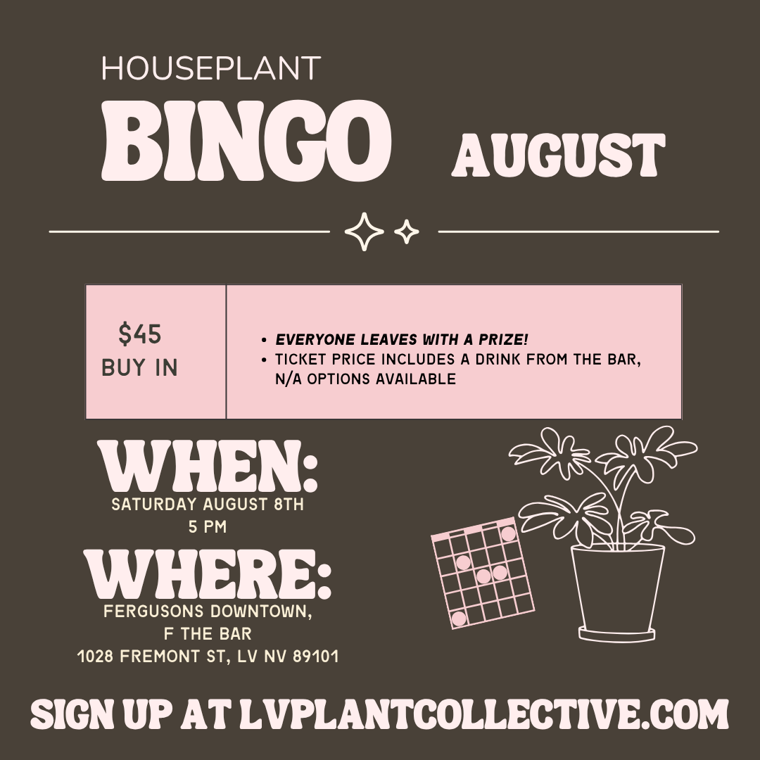 Houseplant Bingo, 8/8