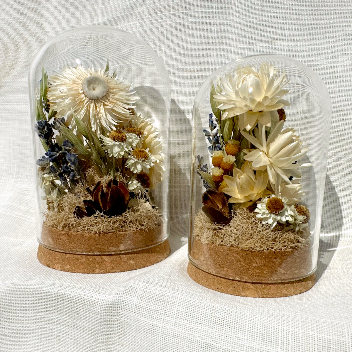 Large Botanical Terrarium Cloche w. White Dried Flowers