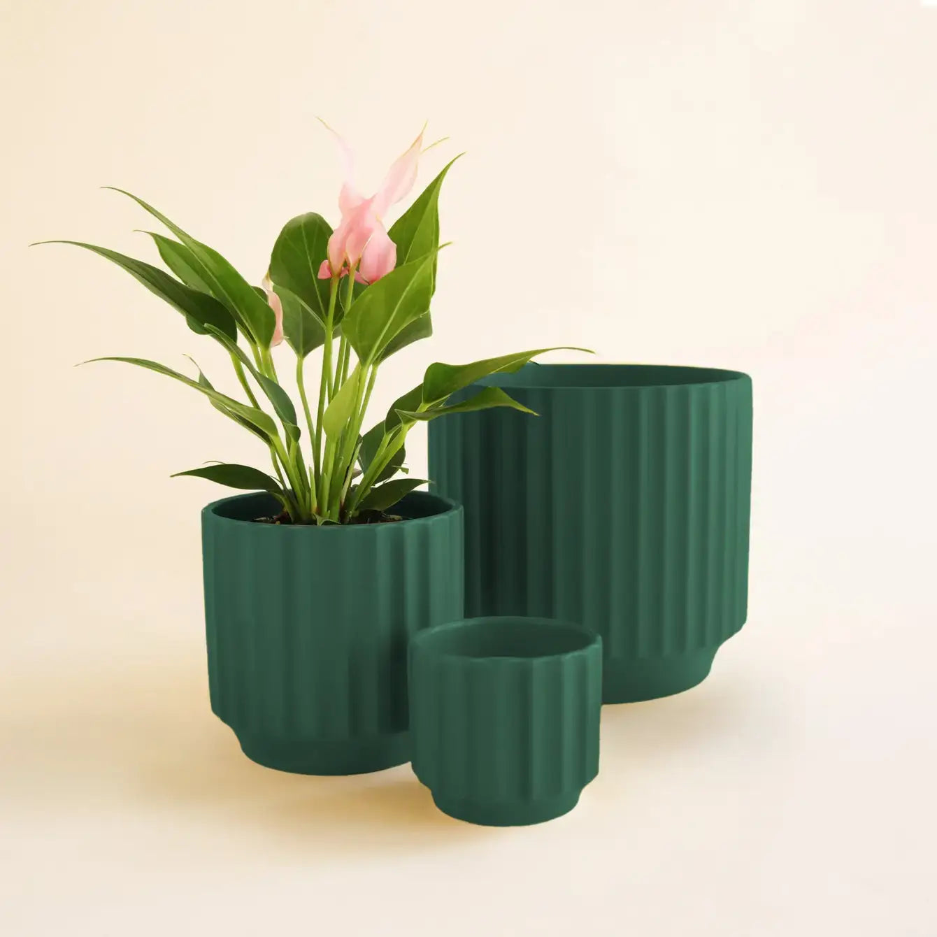 Monroe Planter - Rainforest 4.5": 4.5 inch
