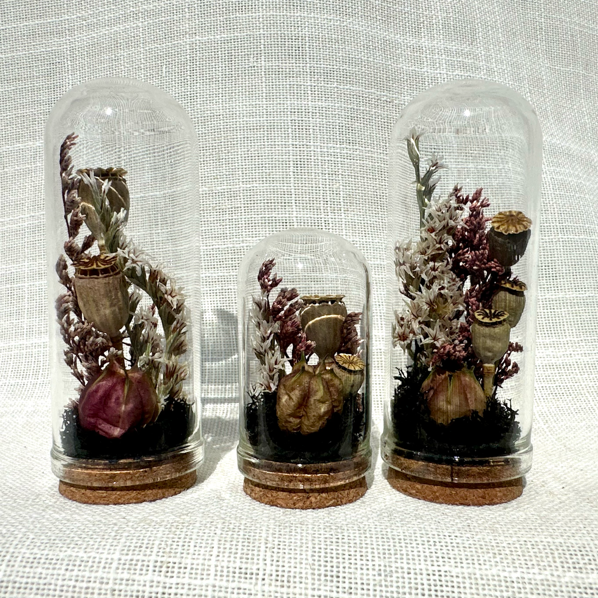 Immortal Curse Mini Terrarium Halloween Floral Cloche