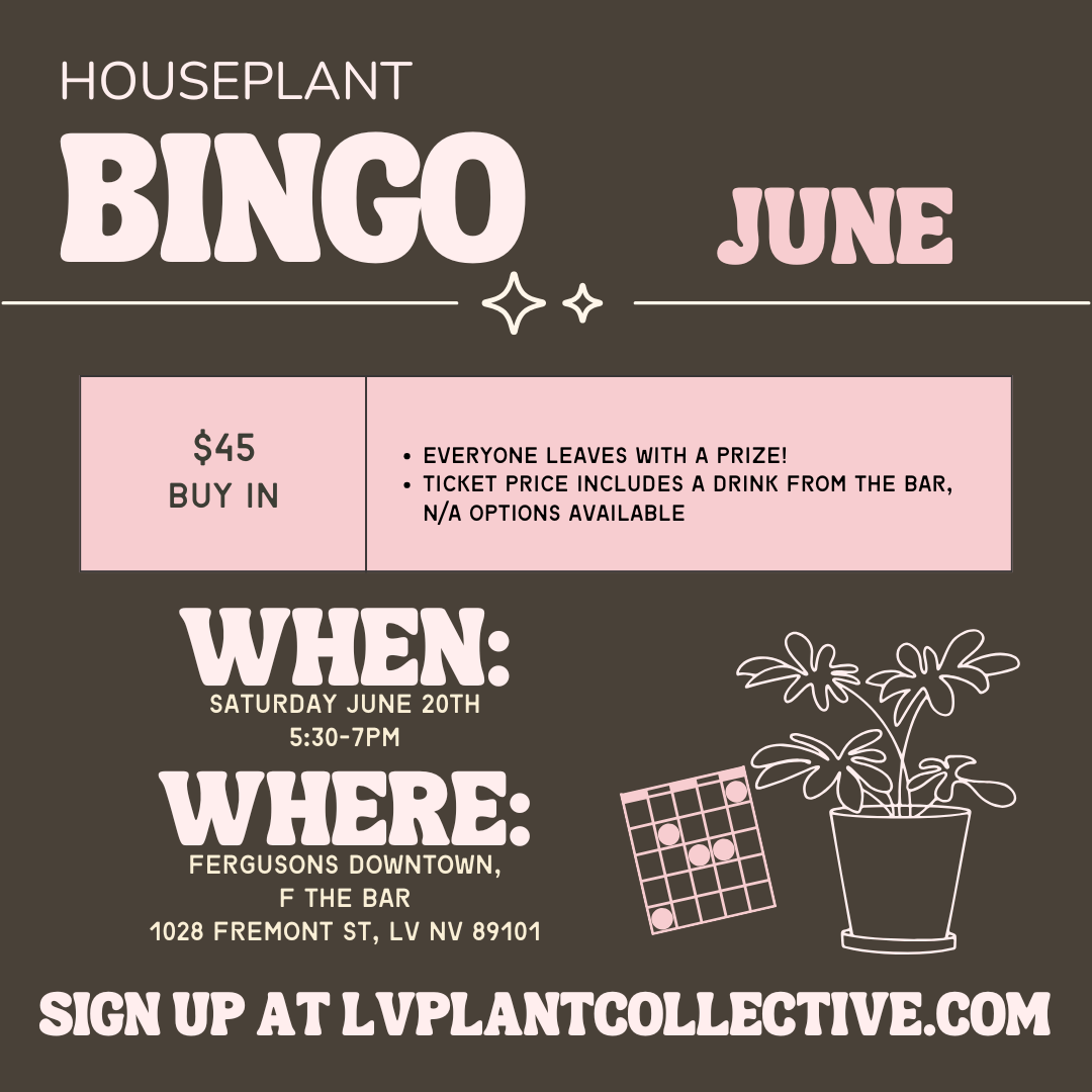 Houseplant Bingo 6/20
