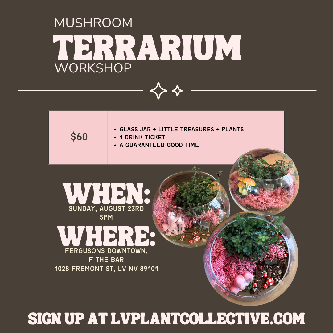 Mushroom Terrarium, 8/23