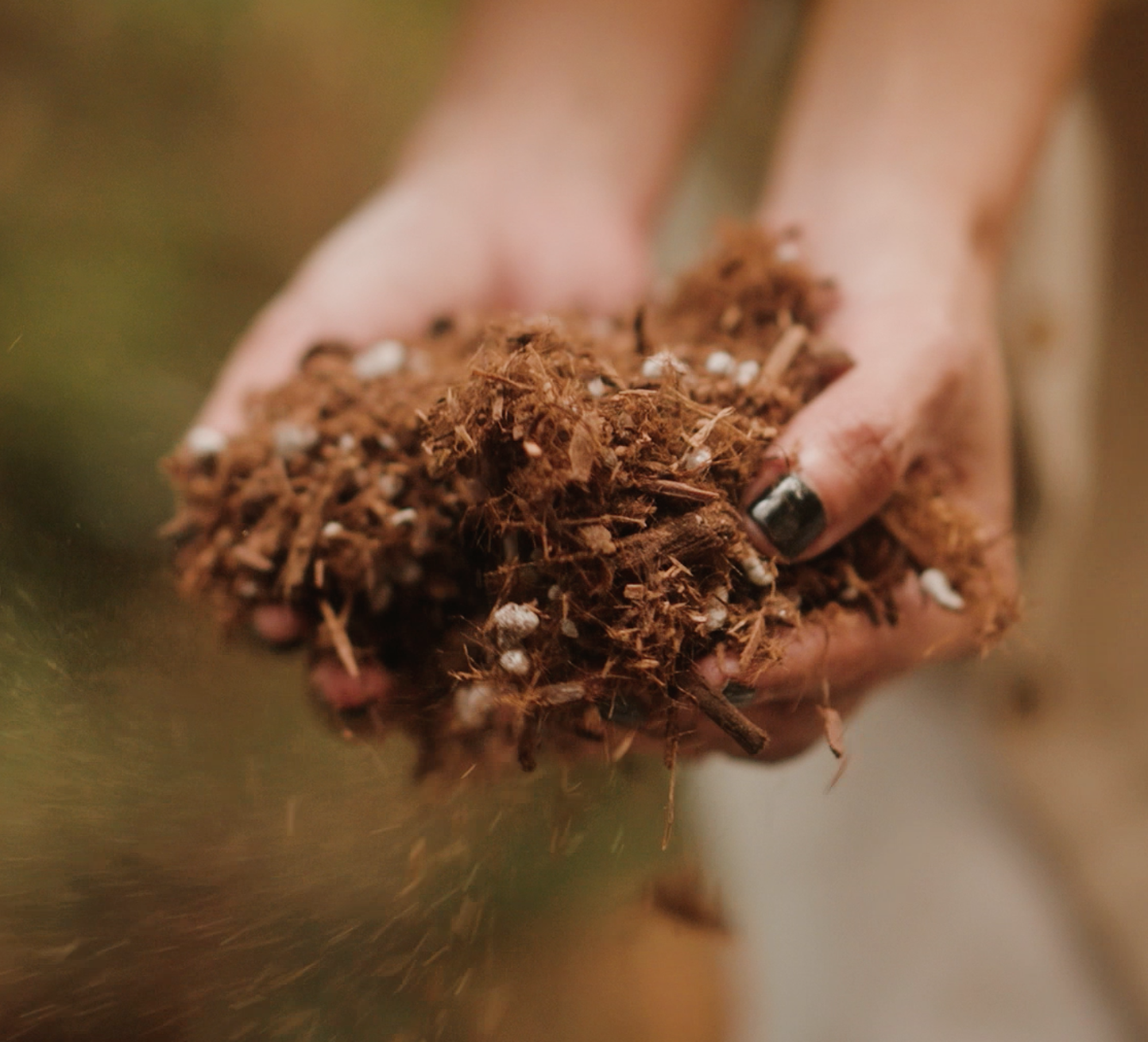 IVYMAY Soil
