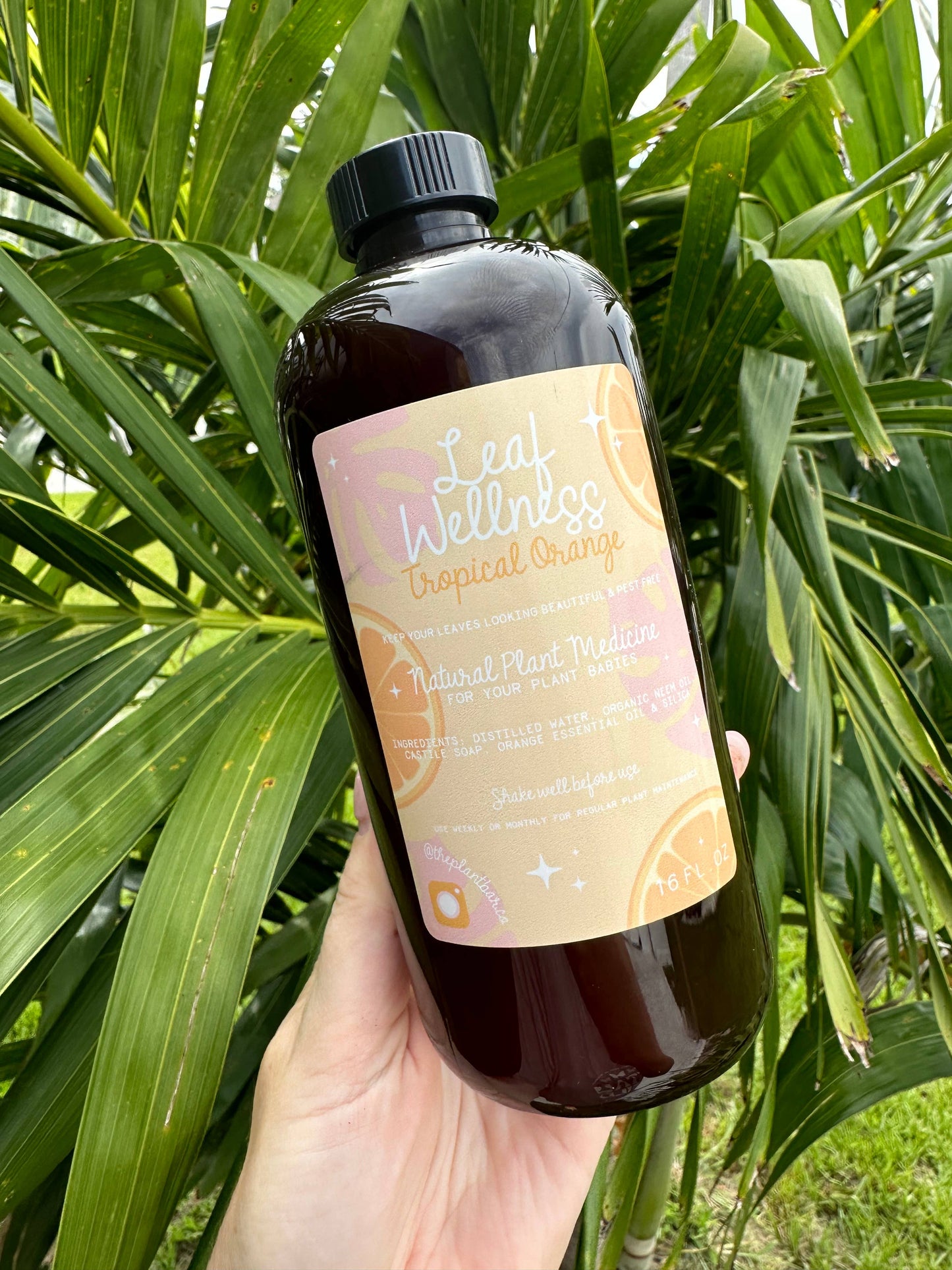 Leaf Wellness Tropical Orange
