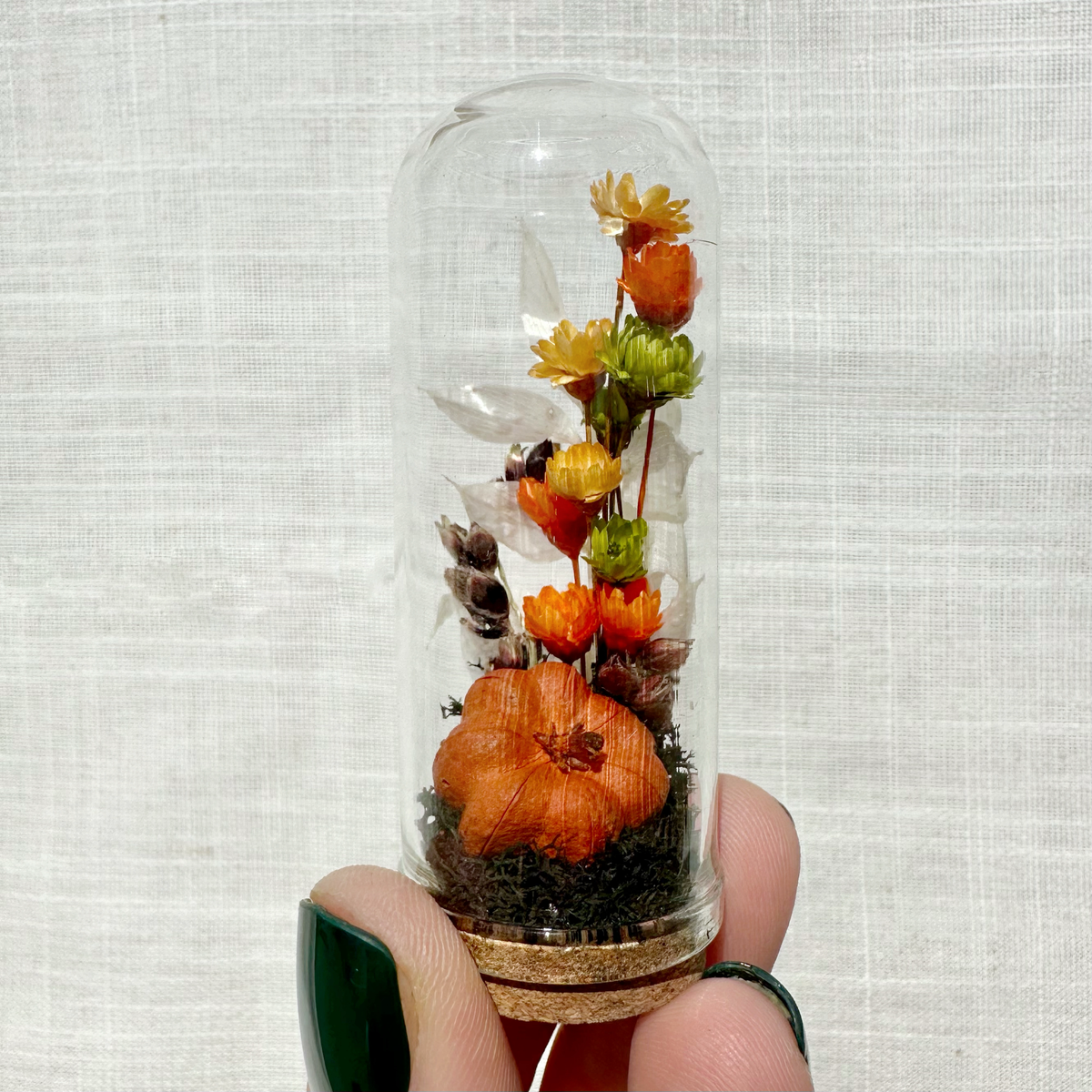 Harvest Moon Mini Terrarium Halloween Dried Floral Cloche
