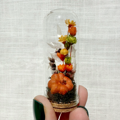 Harvest Moon Mini Terrarium Halloween Dried Floral Cloche