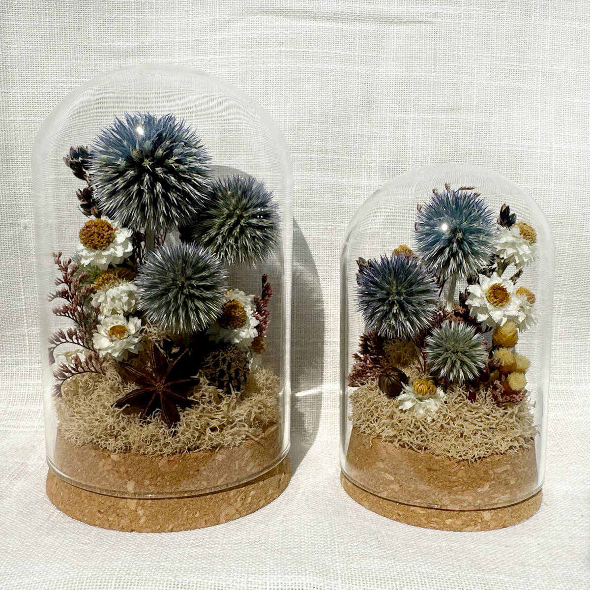 Large Botanical Terrarium Cloche w. Blue Dried Flowers
