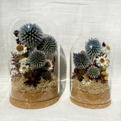 Large Botanical Terrarium Cloche w. Blue Dried Flowers