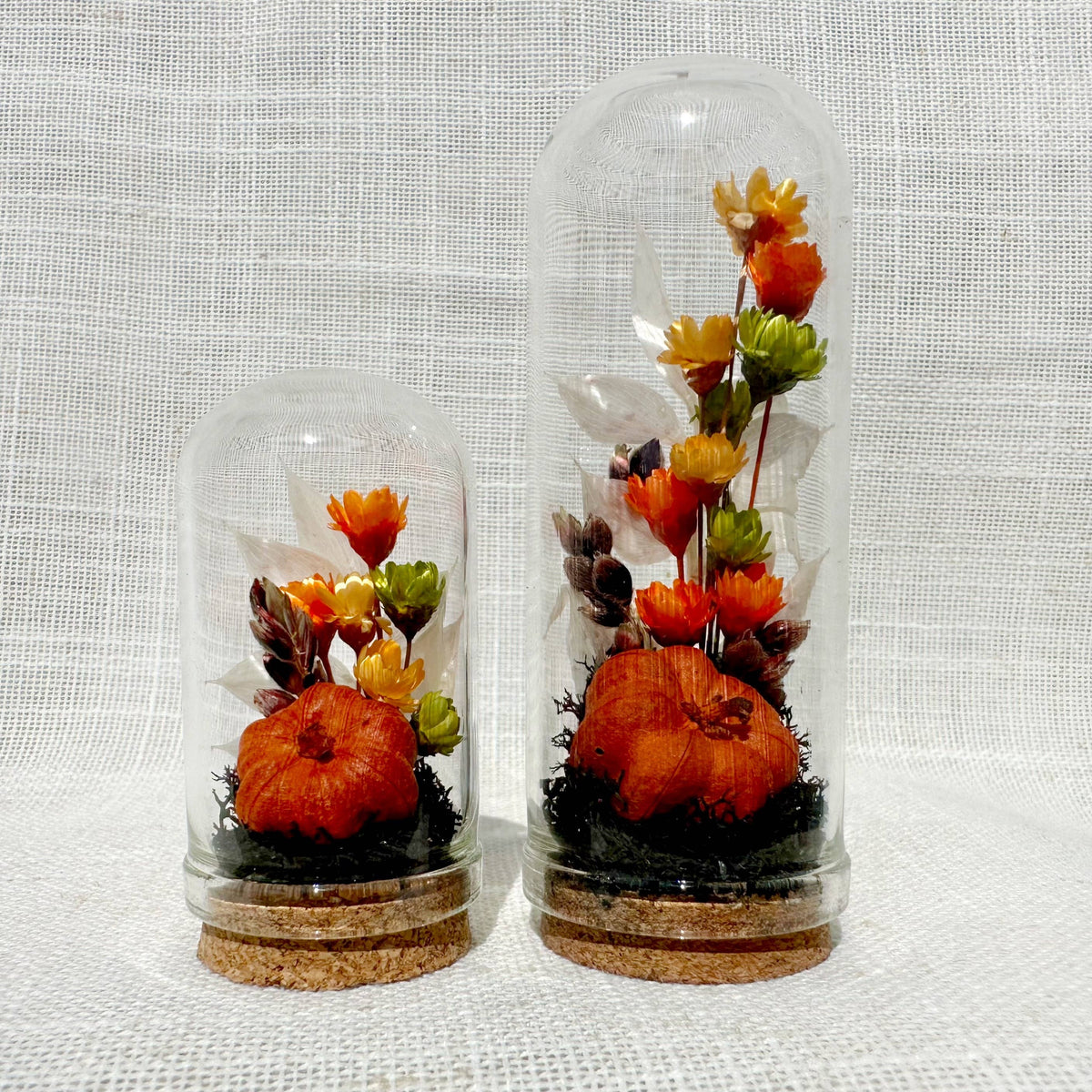 Harvest Moon Mini Terrarium Halloween Dried Floral Cloche
