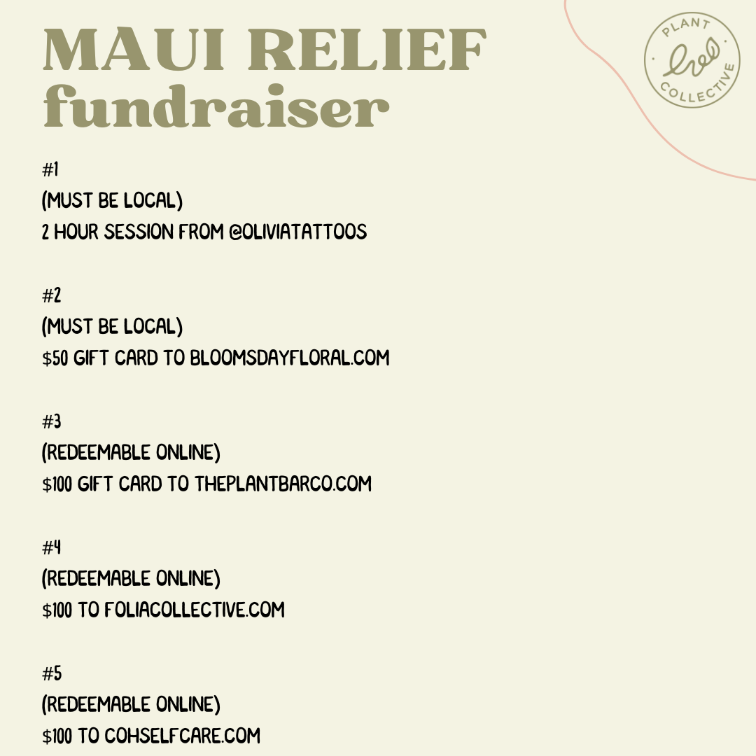 Maui Relief Raffle