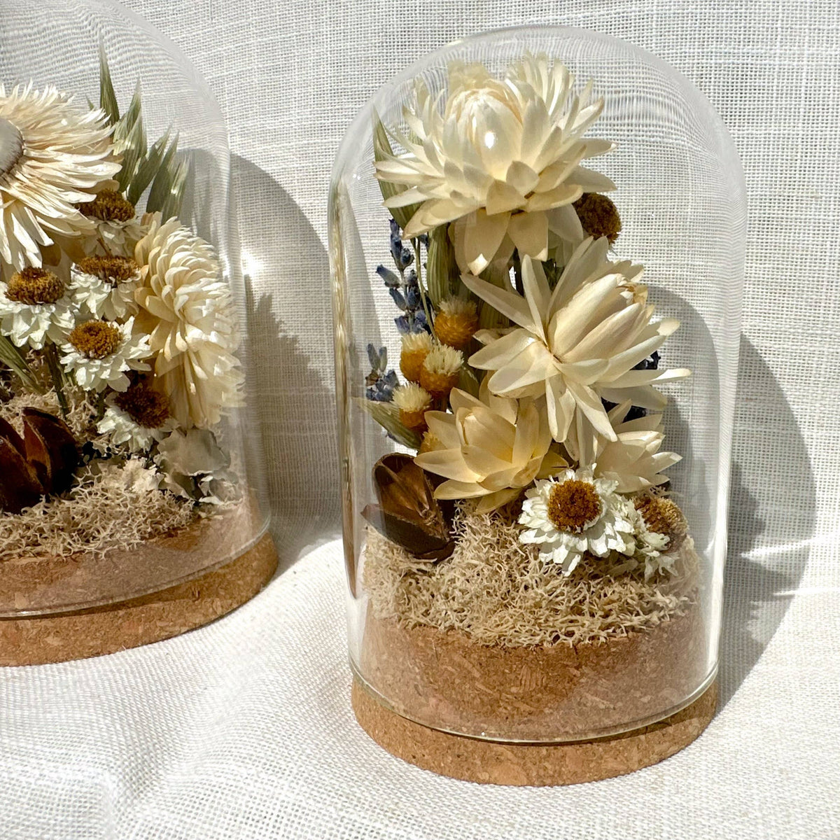 Large Botanical Terrarium Cloche w. White Dried Flowers