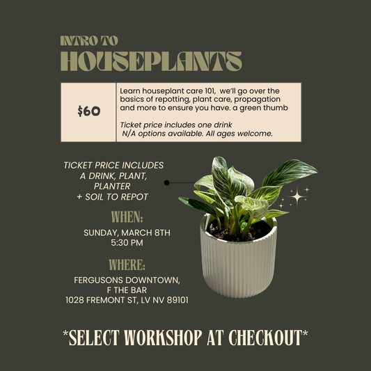 Intro to houseplants, 3/8