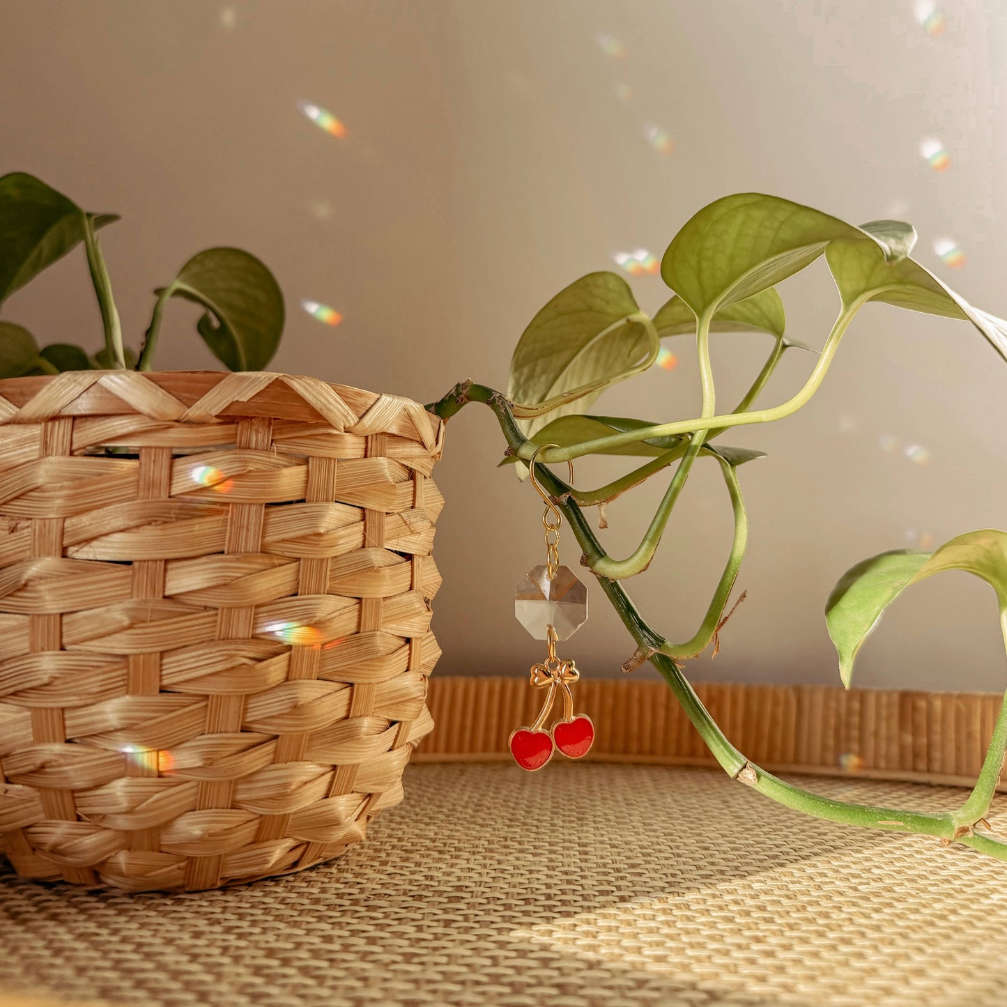 Plant Charm | Suncatcher + Cherry | Houseplant Vine Decor