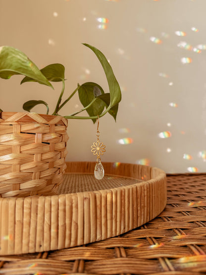 Plant Charm | Suncatcher + Daisy | Houseplant Vine Accessory