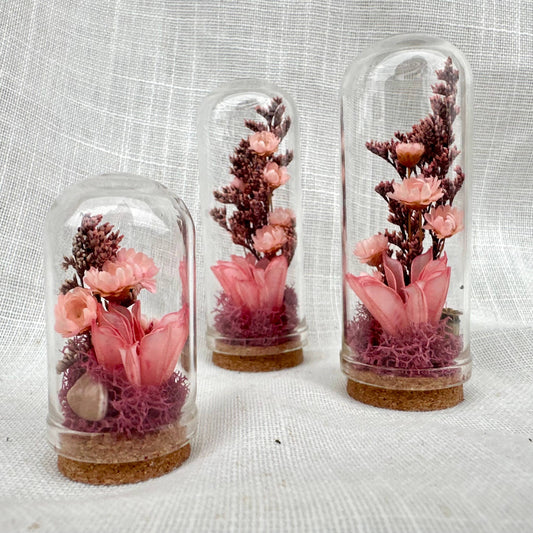 Fairy Grove Mini Terrarium Floral Glass Cloche Curiosity Jar