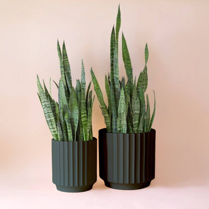 Monroe Pot Set of 2 | Black - 10 & 12 inch