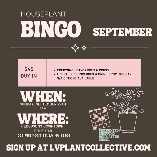 Bingo, 9/27 @ 2PM