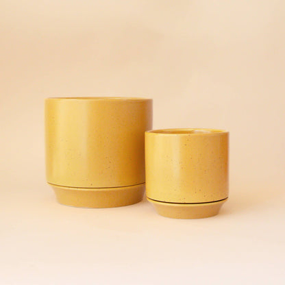 Parker Planter | Honey Speckle with Trivet