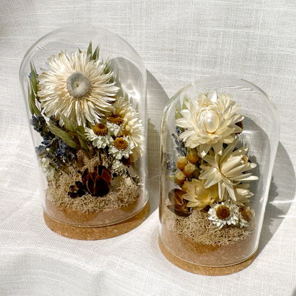 Large Botanical Terrarium Cloche w. White Dried Flowers