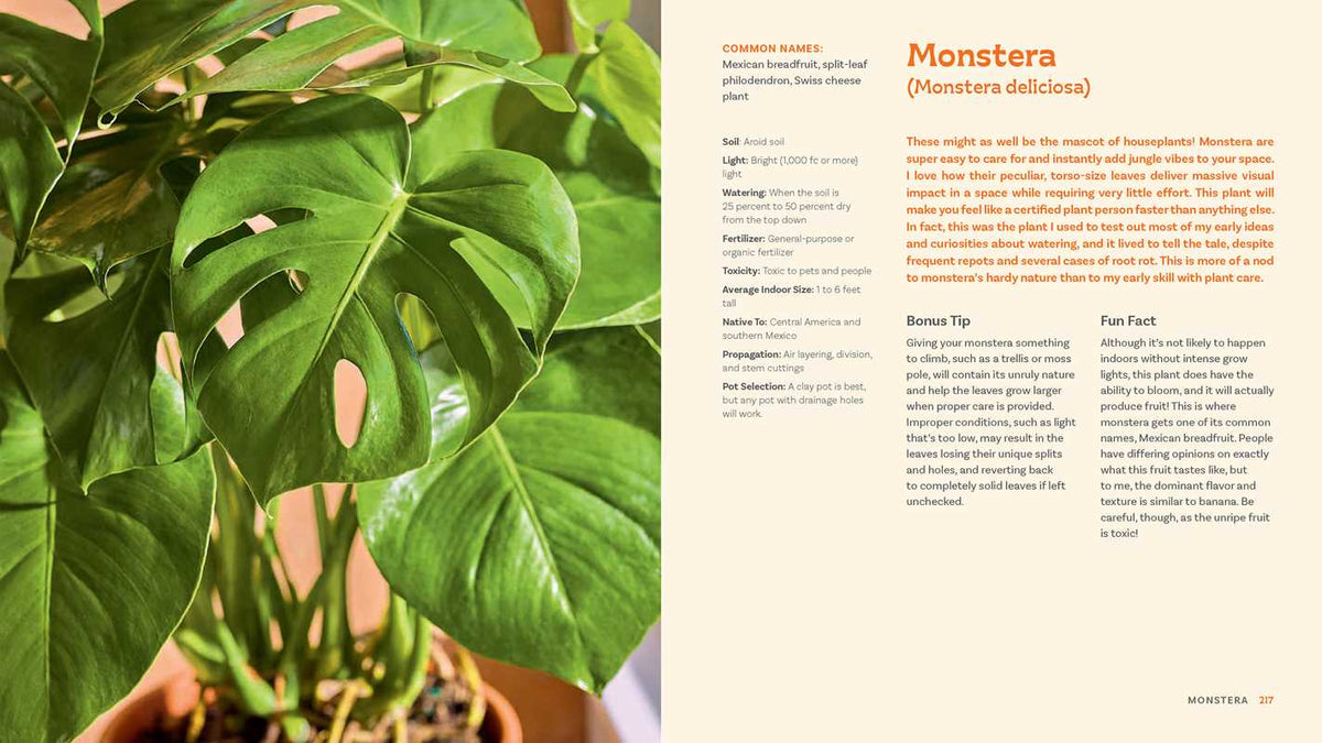 For the Love of Houseplants by Tanner Mitchell
