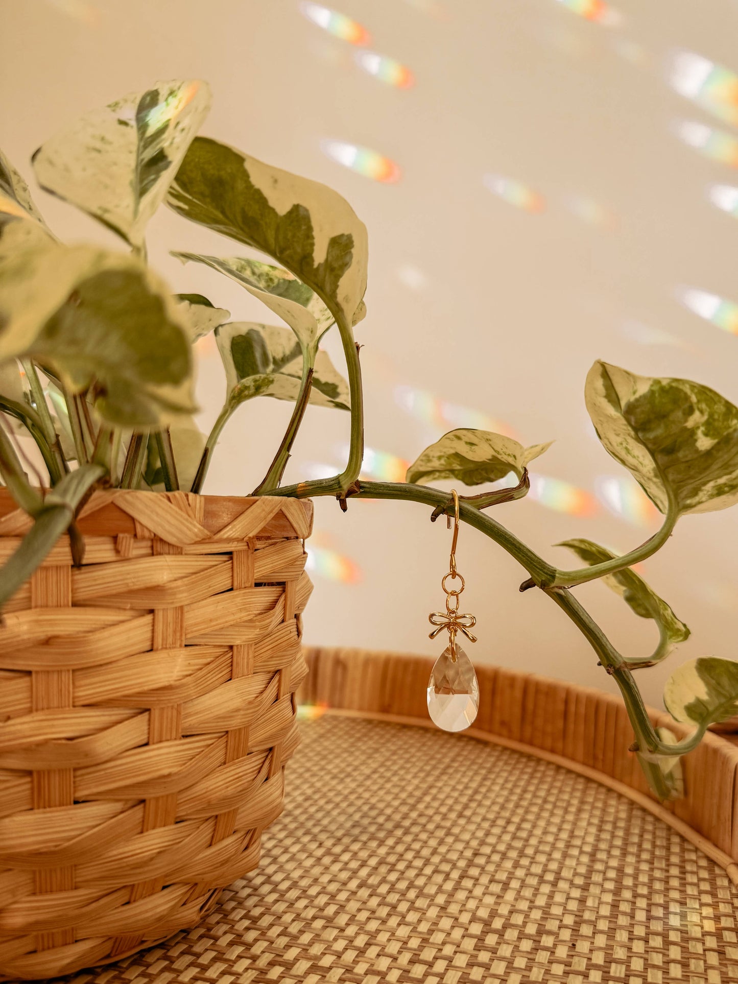 Plant Charm | Sun Catcher + Bow | Houseplant Accessory Jewel