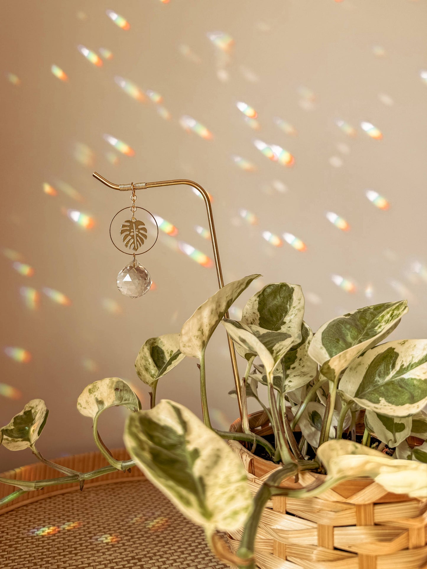 Plant Stake | Suncatcher + Monstera | Houseplant Accessory