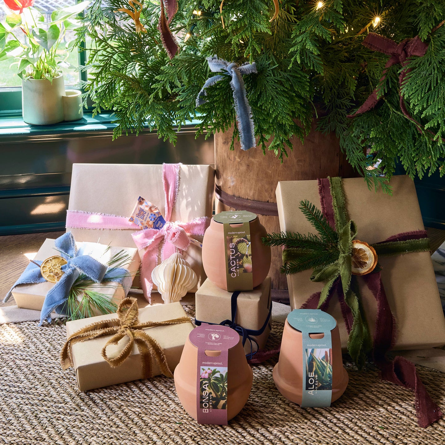 Terracotta Grow Kits