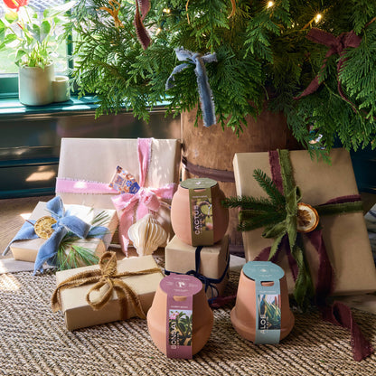 Terracotta Grow Kits