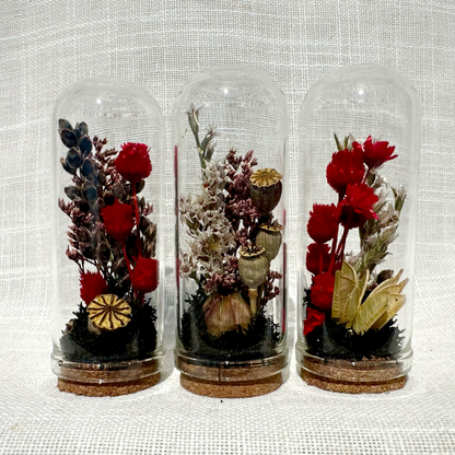 Dark Academia Mix Mini Dried Floral Terrarium Curio Jar