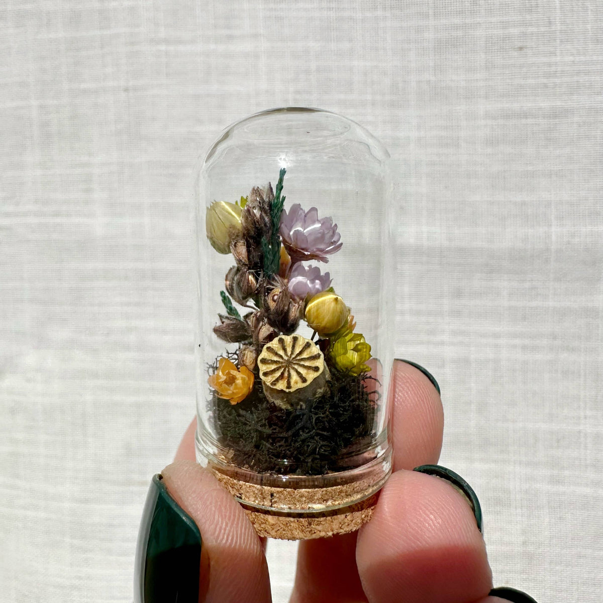 Hexed Hollow Mini Terrarium Halloween Dried Floral Cloche
