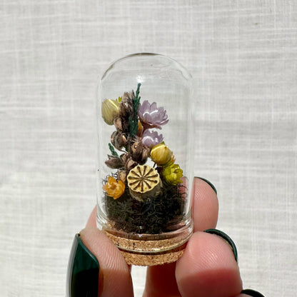 Hexed Hollow Mini Terrarium Halloween Dried Floral Cloche
