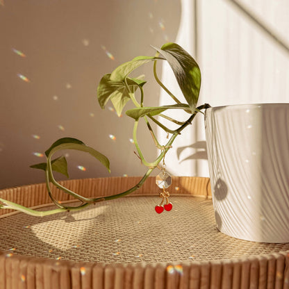 Plant Charm | Suncatcher + Cherry | Houseplant Vine Decor