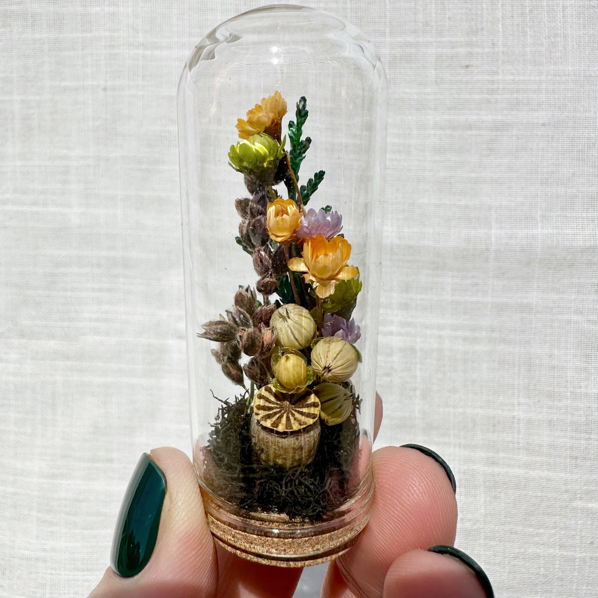 Hexed Hollow Mini Terrarium Halloween Dried Floral Cloche