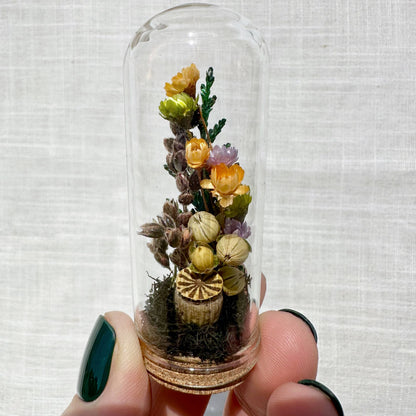 Hexed Hollow Mini Terrarium Halloween Dried Floral Cloche