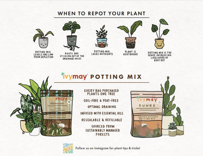 Shelf Talk- Marketing Signage Infographic for Display