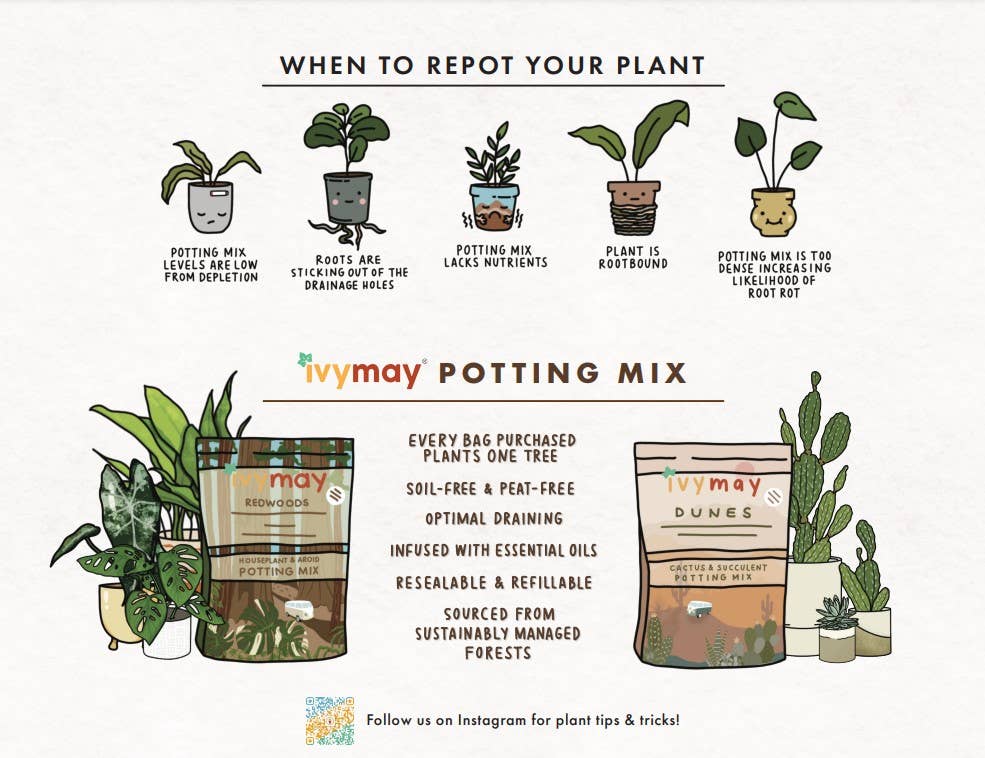 Bulk Soil- Premium Houseplant & Aroid Potting Mix