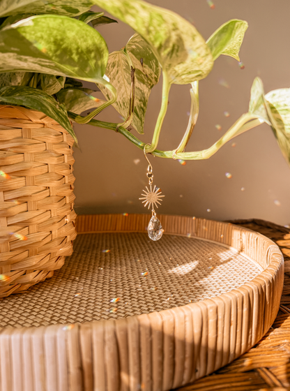 Plant Charm | Suncatcher + Sun | Houseplant Accessories