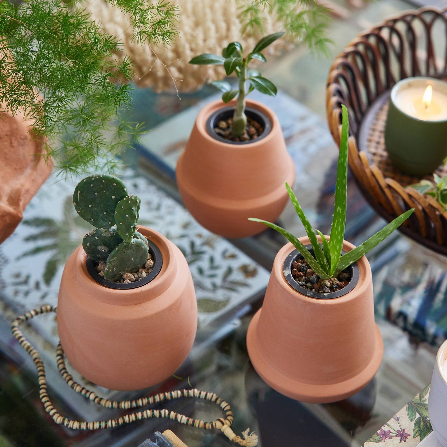 Terracotta Grow Kits