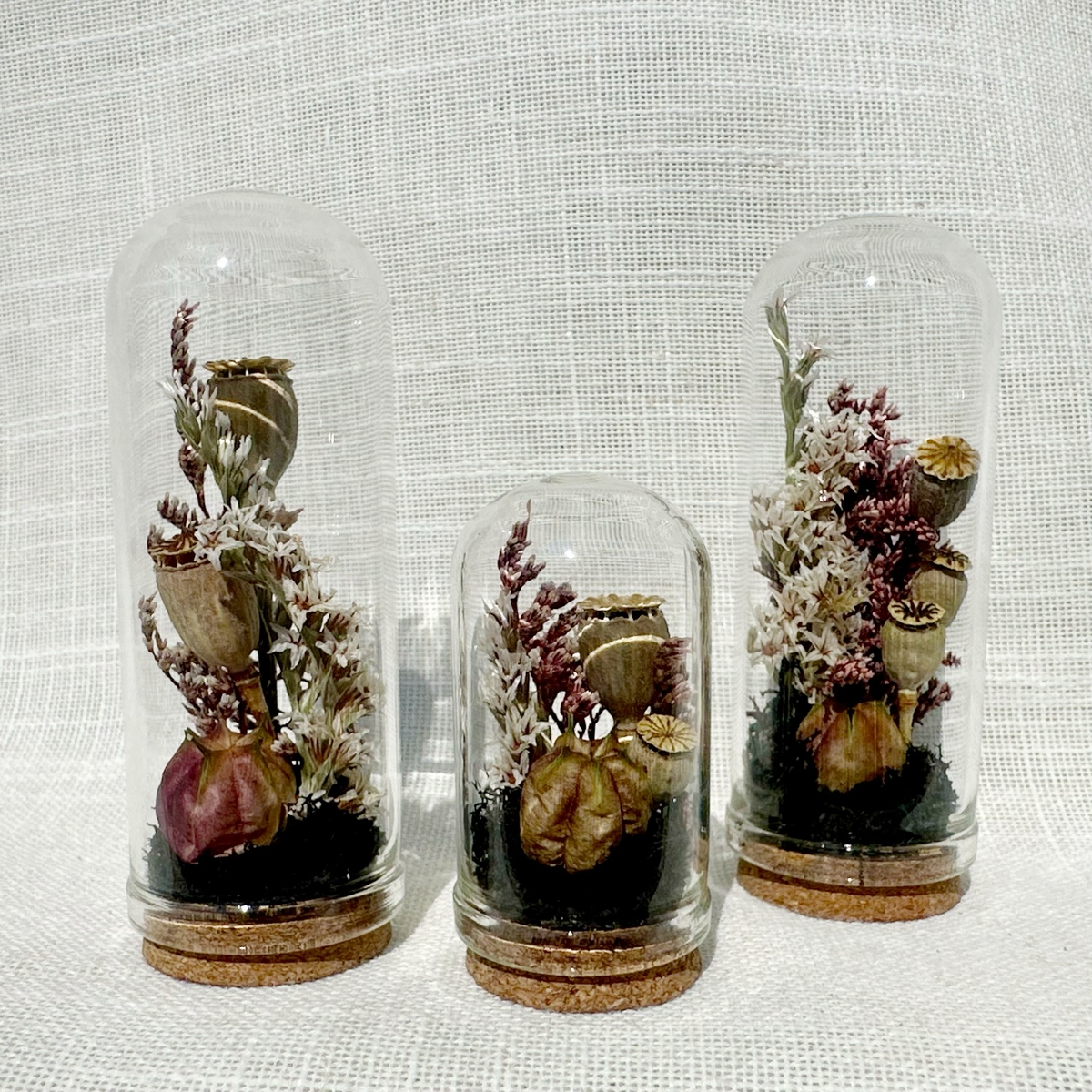Immortal Curse Mini Terrarium Halloween Floral Cloche