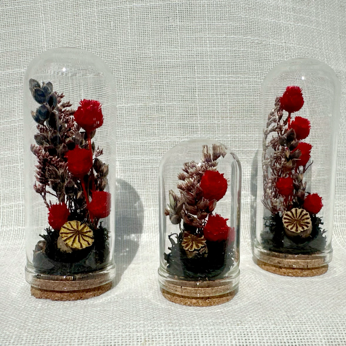 Scorched Earth Mini Terrarium Dark Academia Floral Cloche