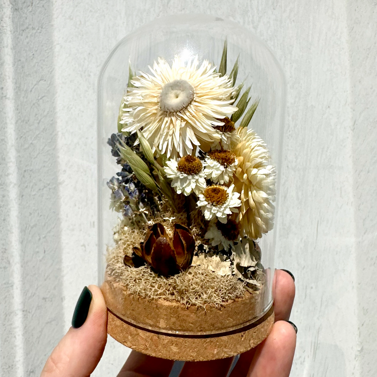 Large Botanical Terrarium Cloche w. White Dried Flowers