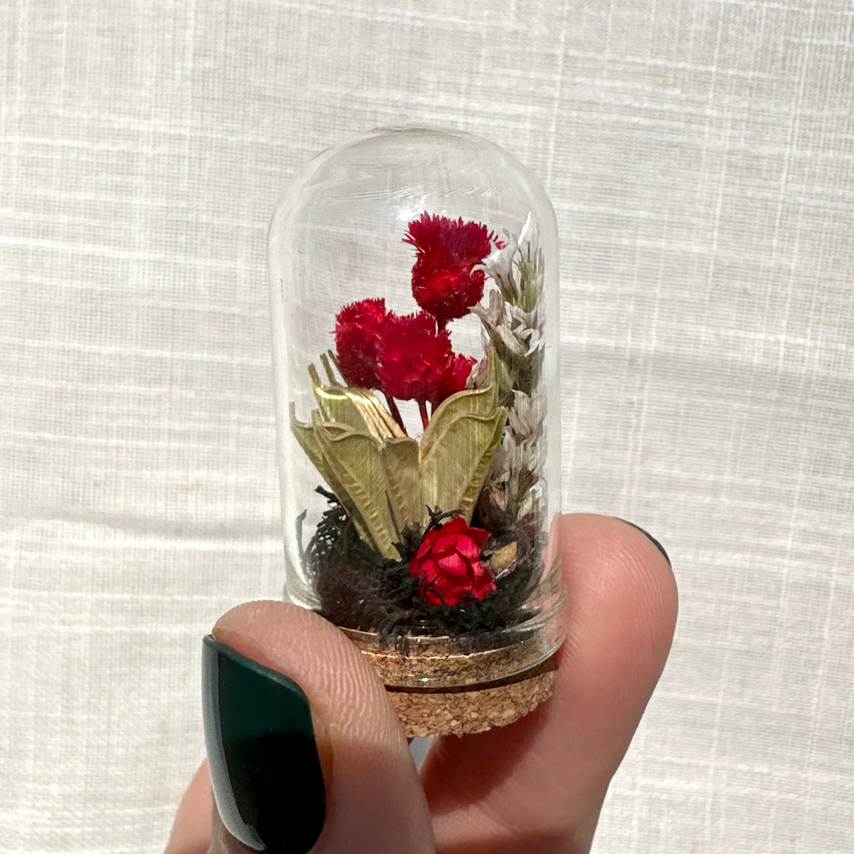 Dark Academia Mix Mini Dried Floral Terrarium Curio Jar