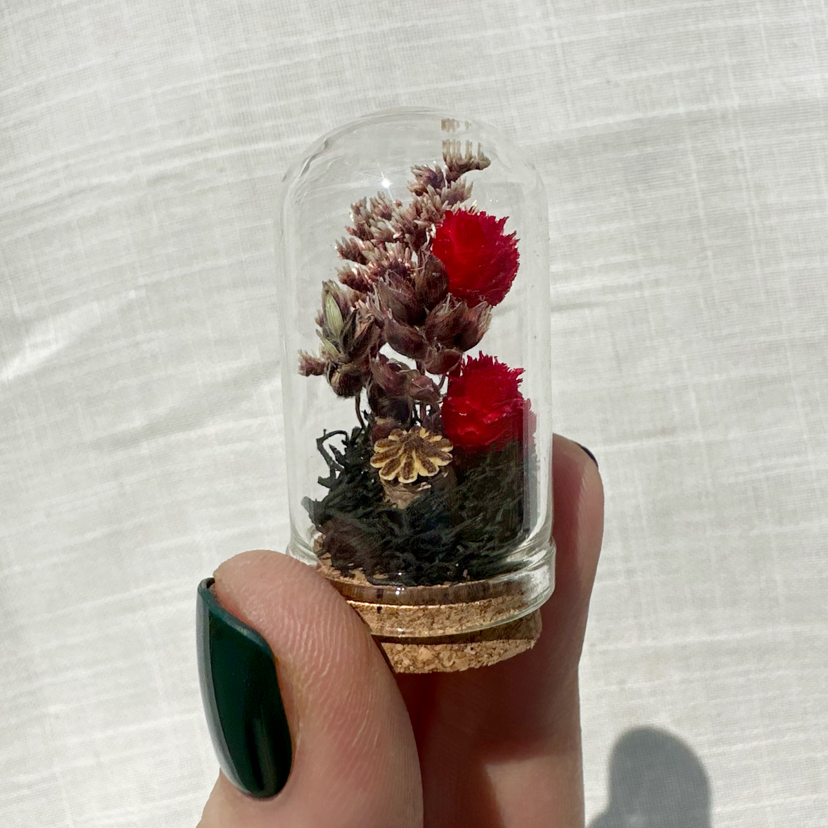 Scorched Earth Mini Terrarium Dark Academia Floral Cloche