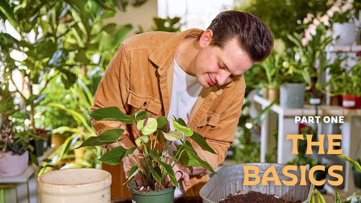 For the Love of Houseplants by Tanner Mitchell