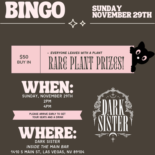 Houseplant Bingo, 11/29
